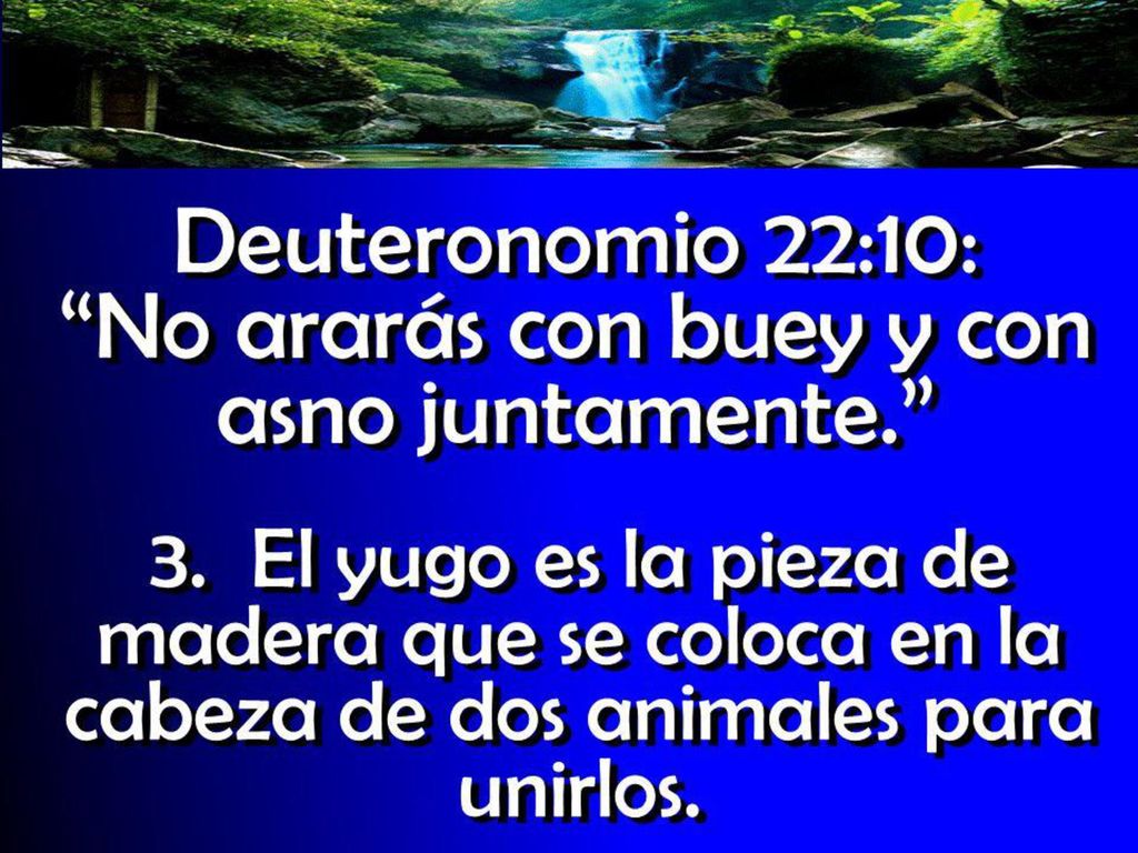 Pero en primer lugar este texto es del Antiguo Testamento no es ley para nosotros.