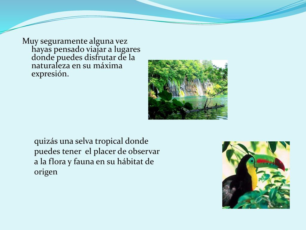 Muy seguramente alguna vez hayas pensado viajar a lugares donde puedes disfrutar de la naturaleza en su máxima expresión.