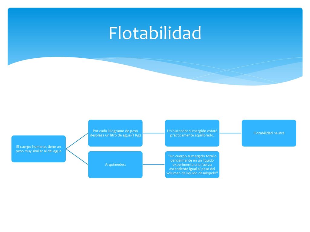 Flotabilidad El cuerpo humano, tiene un peso muy similar al del agua