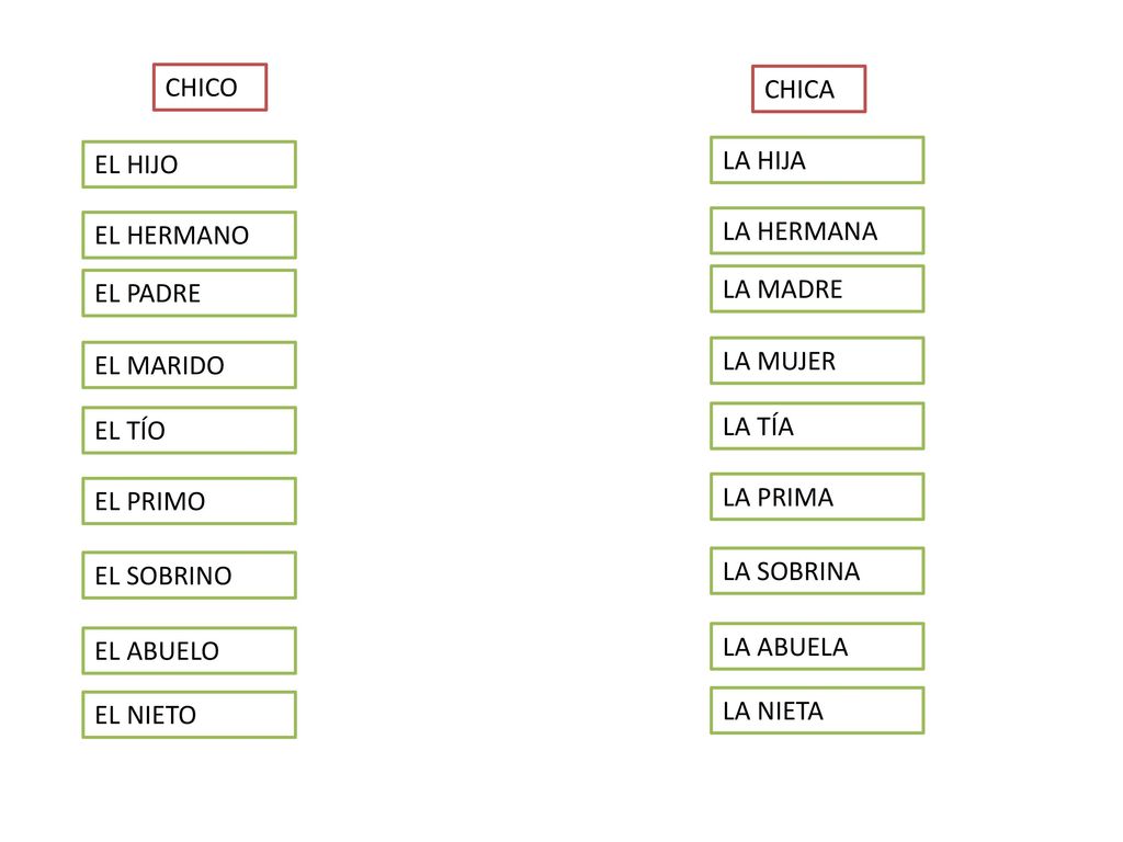 CHICO CHICA. EL HIJO. LA HIJA. EL HERMANO. LA HERMANA. EL PADRE. LA MADRE. EL MARIDO. LA MUJER.