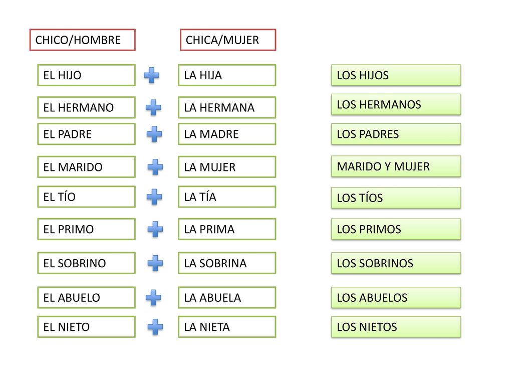 CHICO/HOMBRE CHICA/MUJER. EL HIJO. LA HIJA. LOS HIJOS. EL HERMANO. LA HERMANA. LOS HERMANOS. EL PADRE.