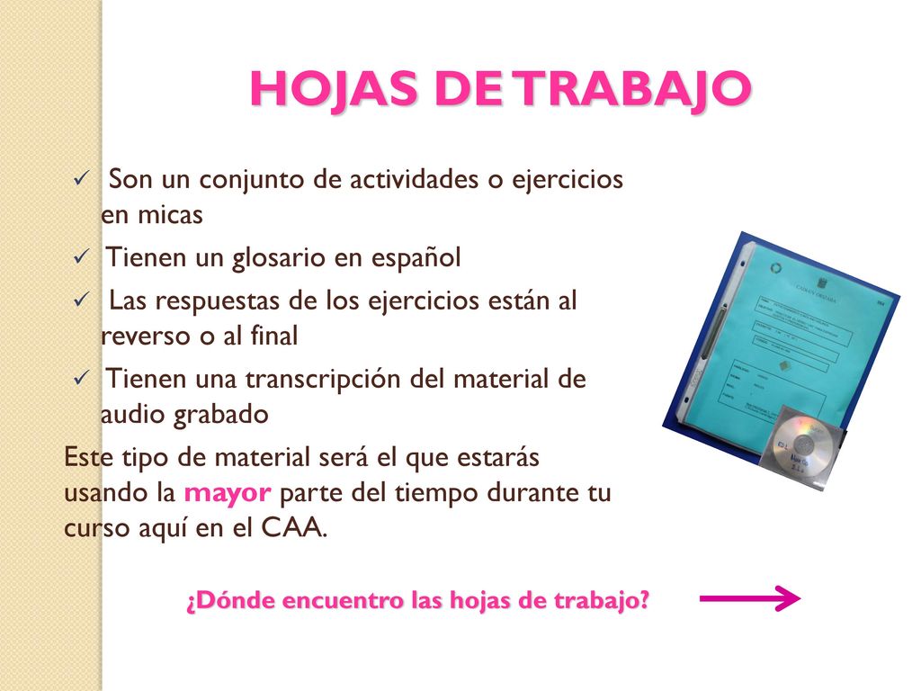 HOJAS DE TRABAJO Son un conjunto de actividades o ejercicios en micas