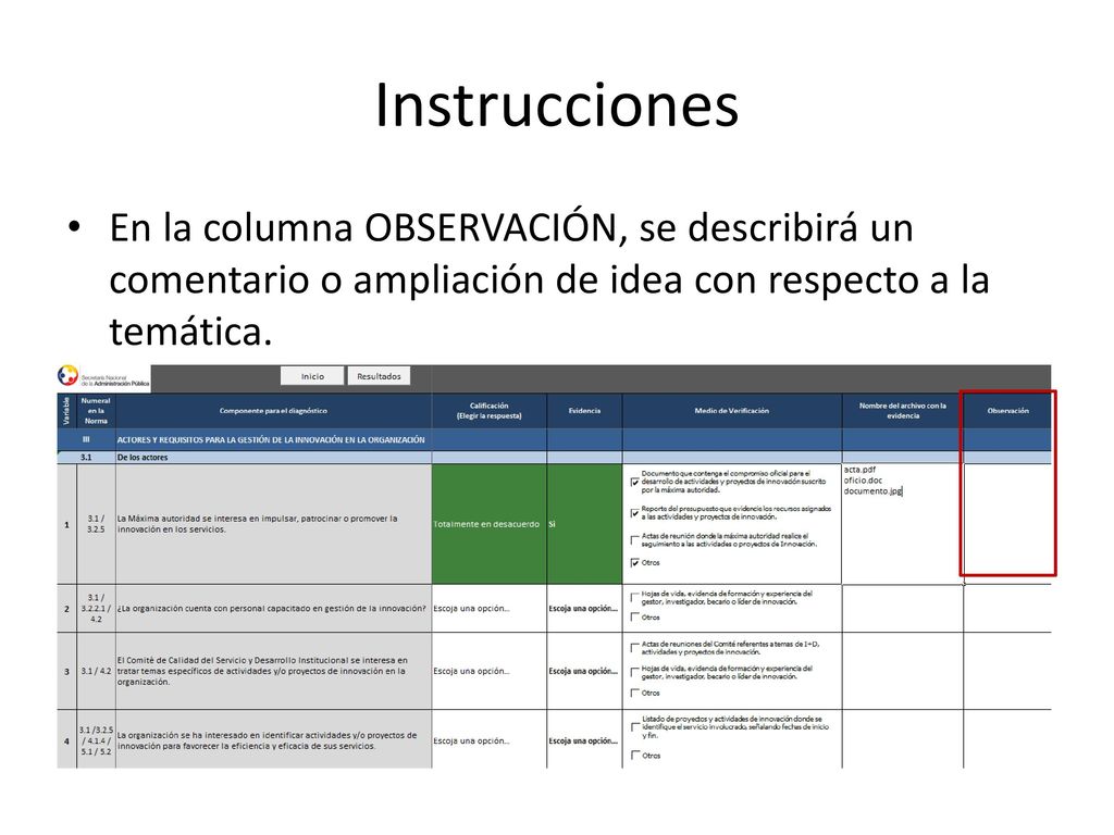 Instrucciones En la columna OBSERVACIÓN, se describirá un comentario o ampliación de idea con respecto a la temática.