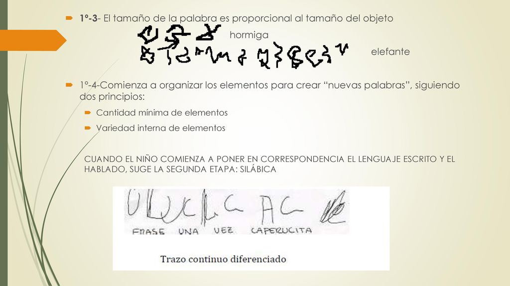 1º-3- El tamaño de la palabra es proporcional al tamaño del objeto