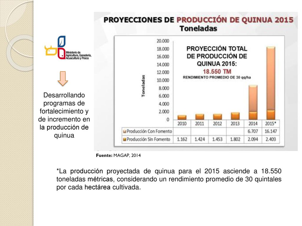 Desarrollando programas de fortalecimiento y de incremento en la producción de quinua