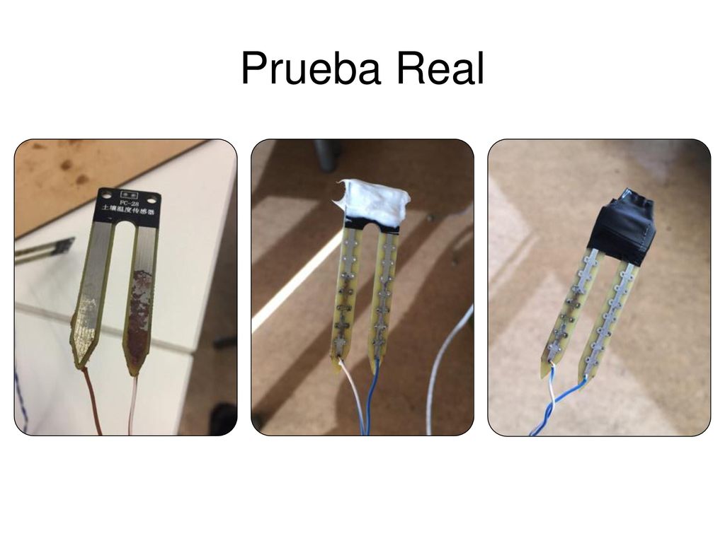 Objetivo del Estudio Medir y observar cómo se comporta la humedad en el transcurso del tiempo en un contenedor de dimensiones reales.