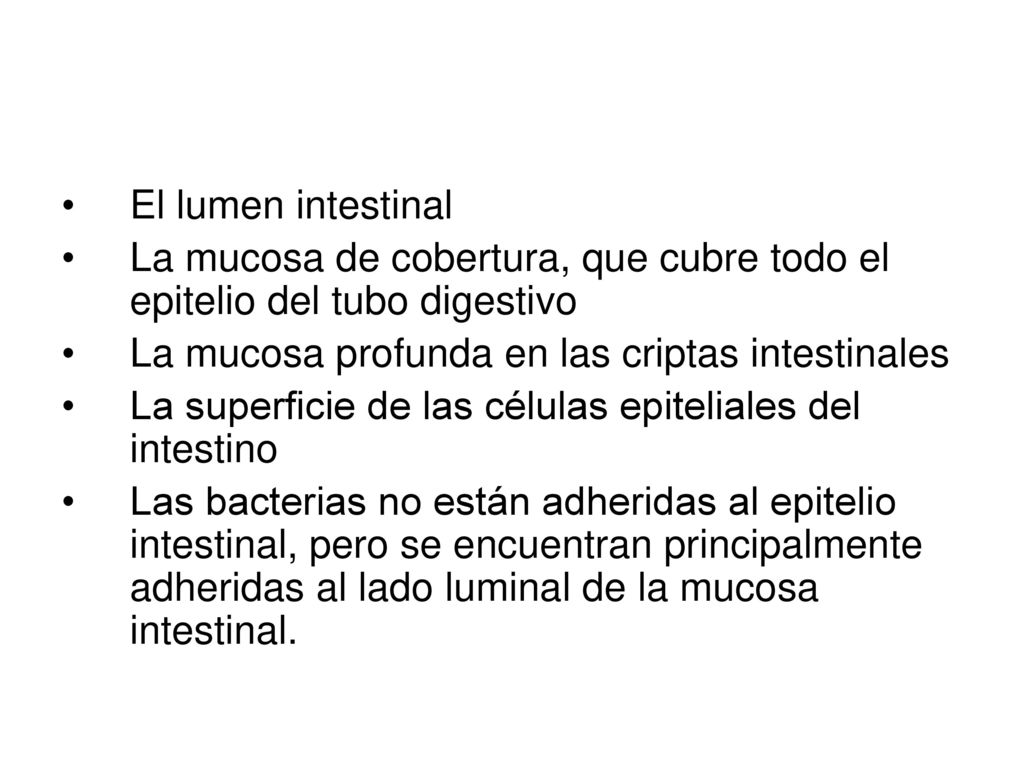 El lumen intestinal La mucosa de cobertura, que cubre todo el epitelio del tubo digestivo. La mucosa profunda en las criptas intestinales.