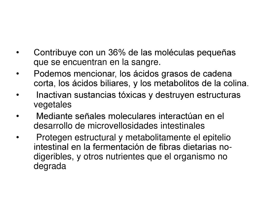 Contribuye con un 36% de las moléculas pequeñas que se encuentran en la sangre.