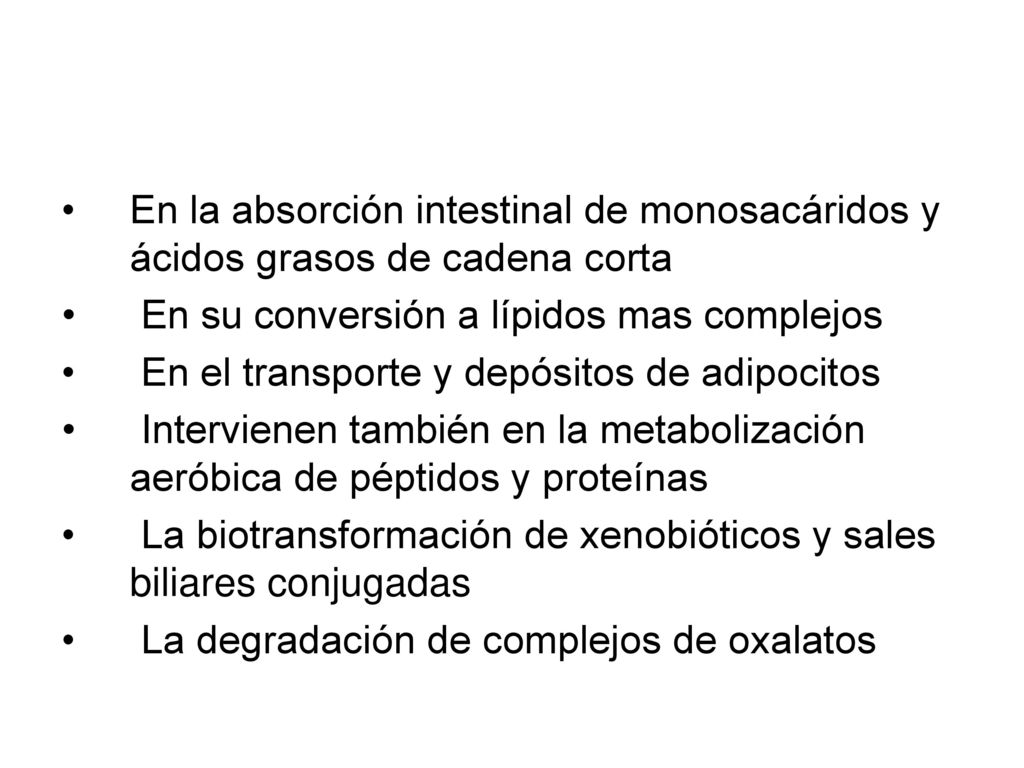 En la absorción intestinal de monosacáridos y ácidos grasos de cadena corta