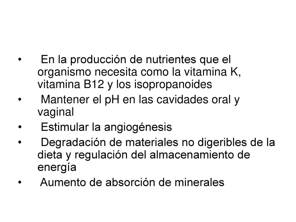 En la producción de nutrientes que el organismo necesita como la vitamina K, vitamina B12 y los isopropanoides