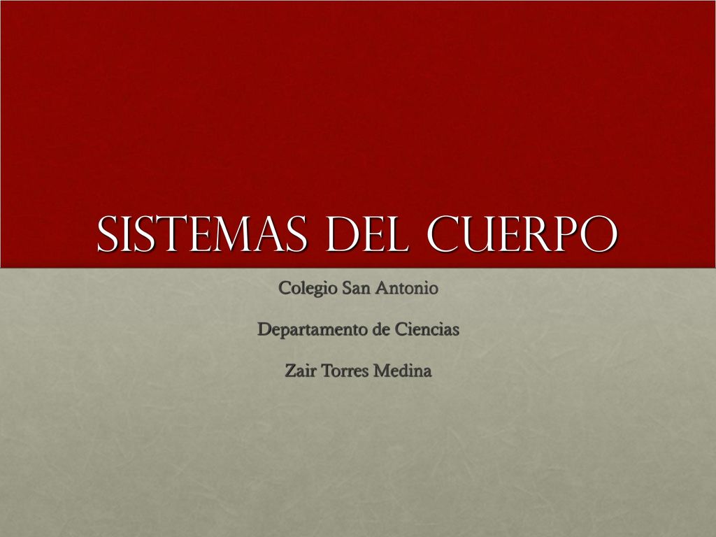Colegio San Antonio Departamento de Ciencias Zair Torres Medina