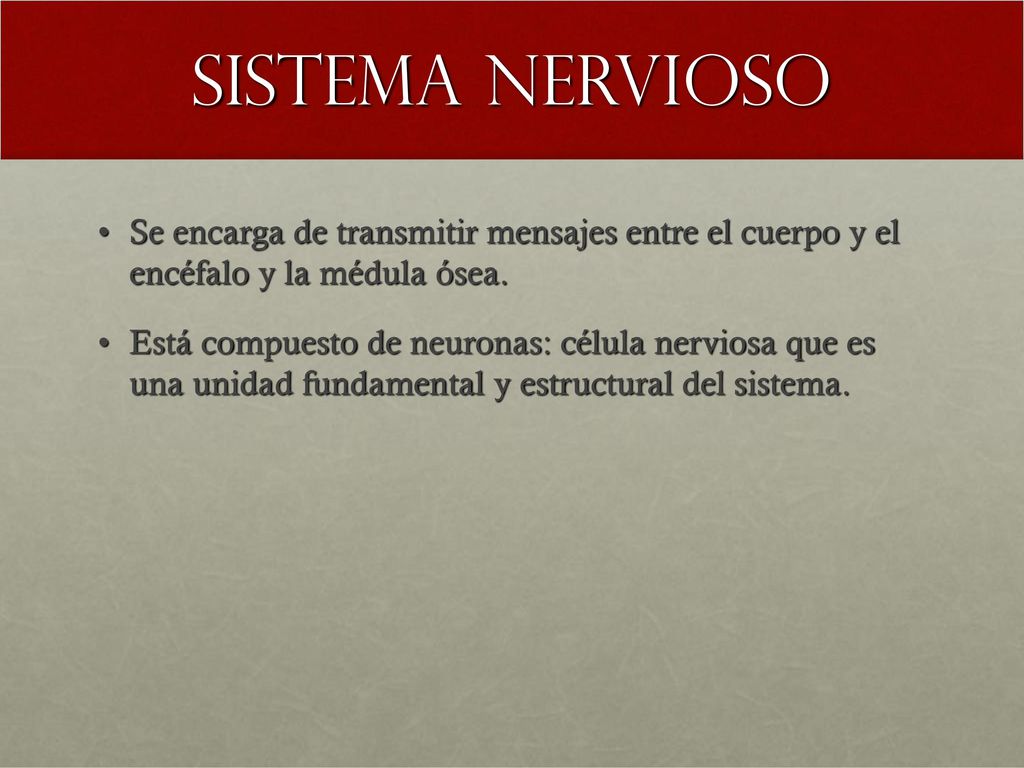 Sistema nervioso Se encarga de transmitir mensajes entre el cuerpo y el encéfalo y la médula ósea.