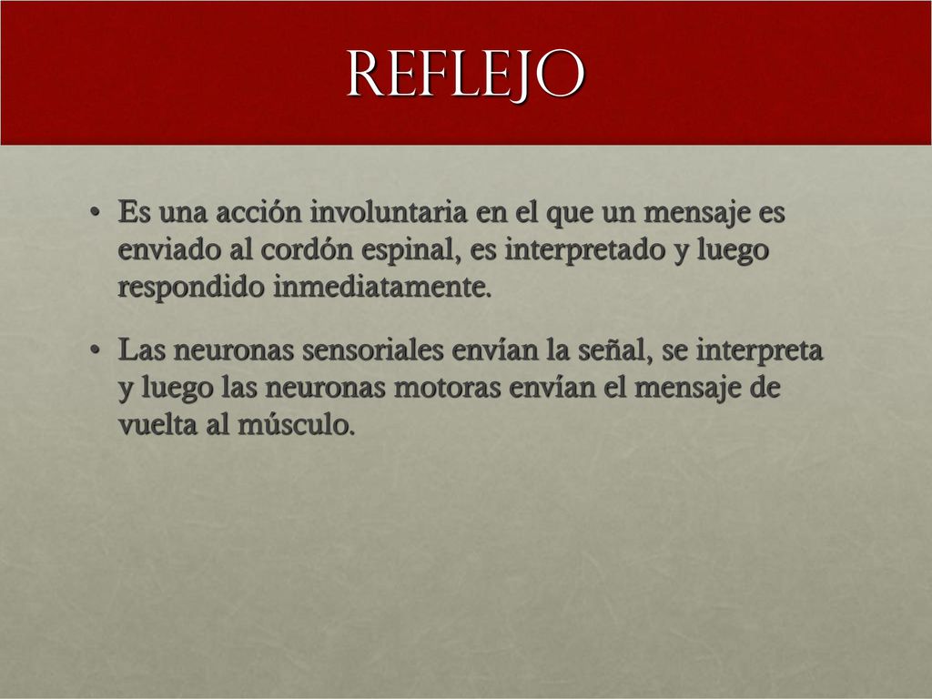 reflejo Es una acción involuntaria en el que un mensaje es enviado al cordón espinal, es interpretado y luego respondido inmediatamente.