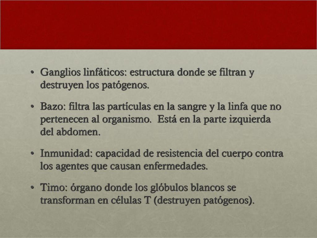 Ganglios linfáticos: estructura donde se filtran y destruyen los patógenos.