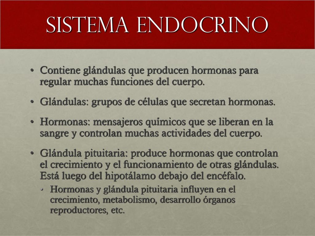 Sistema endocrino Contiene glándulas que producen hormonas para regular muchas funciones del cuerpo.
