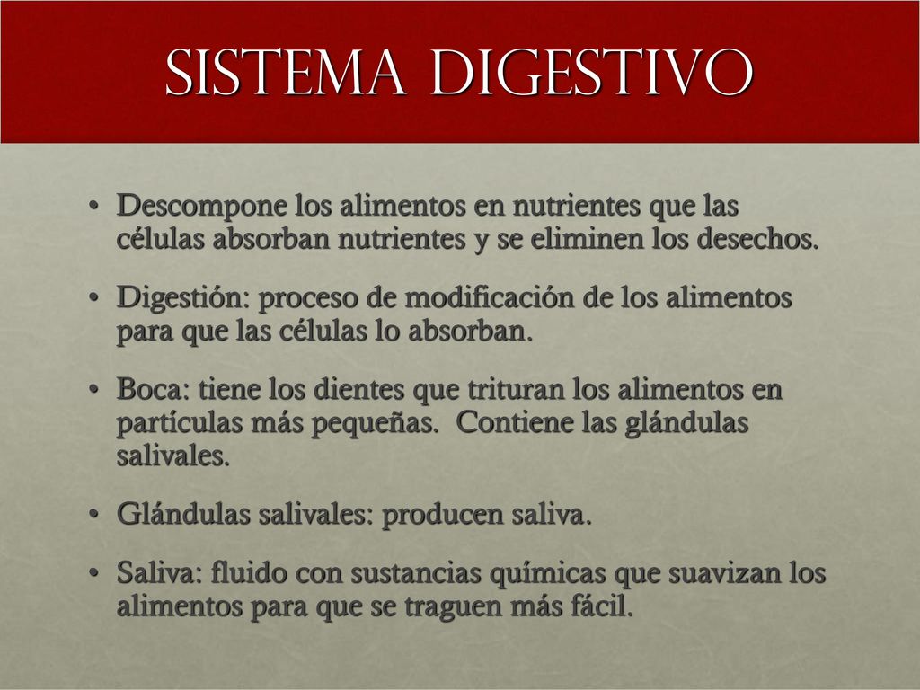 Sistema digestivo Descompone los alimentos en nutrientes que las células absorban nutrientes y se eliminen los desechos.