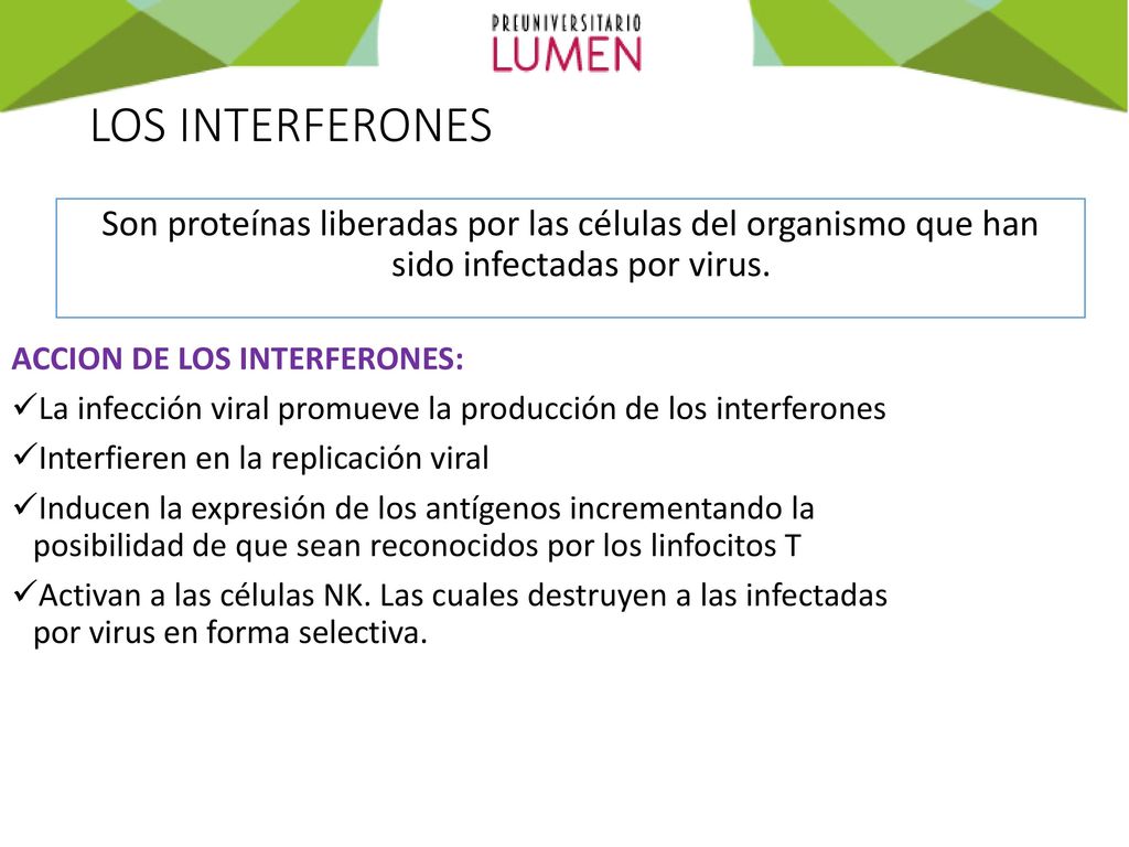 LOS INTERFERONES Son proteínas liberadas por las células del organismo que han sido infectadas por virus.