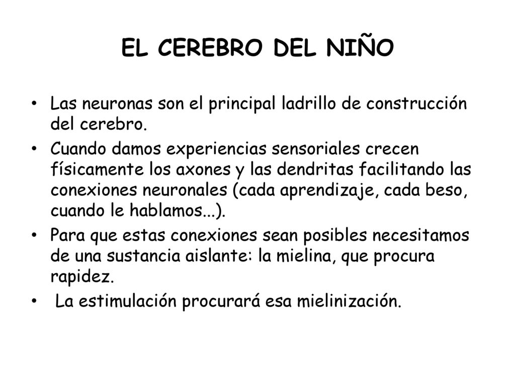 EL CEREBRO DEL NIÑO Las neuronas son el principal ladrillo de construcción del cerebro.