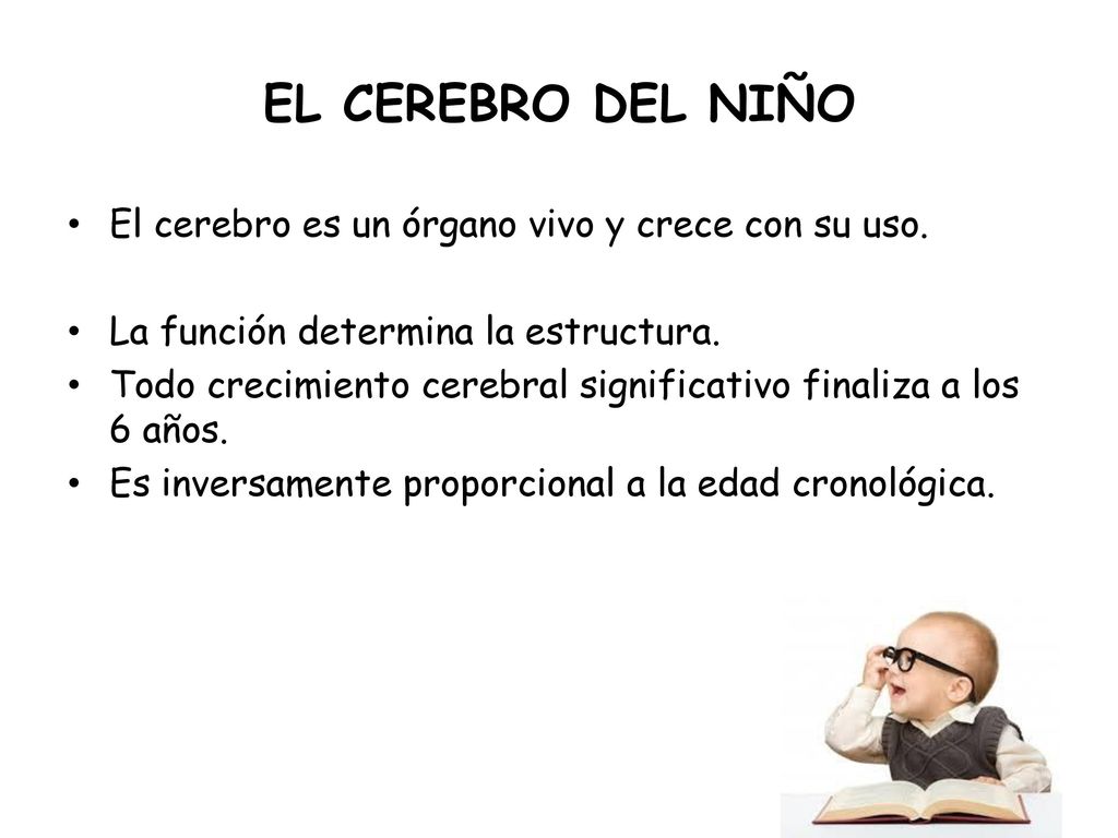 EL CEREBRO DEL NIÑO El cerebro es un órgano vivo y crece con su uso.