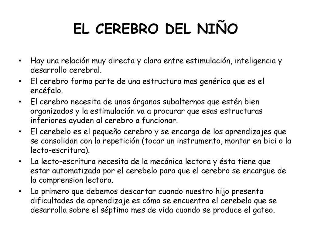 EL CEREBRO DEL NIÑO Hay una relación muy directa y clara entre estimulación, inteligencia y desarrollo cerebral.