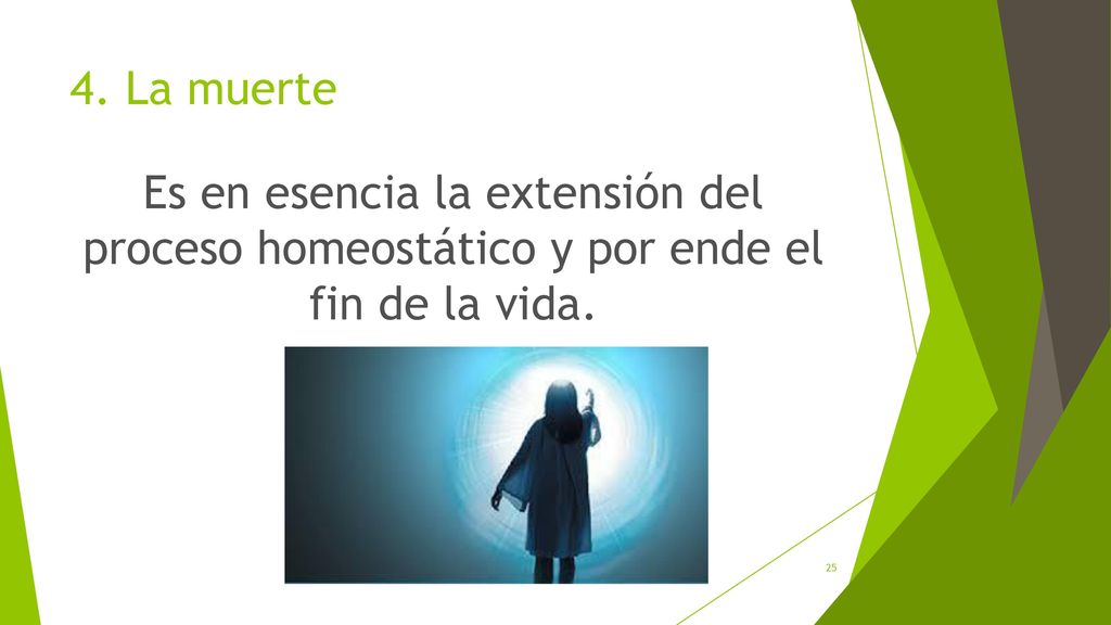 4. La muerte Es en esencia la extensión del proceso homeostático y por ende el fin de la vida.