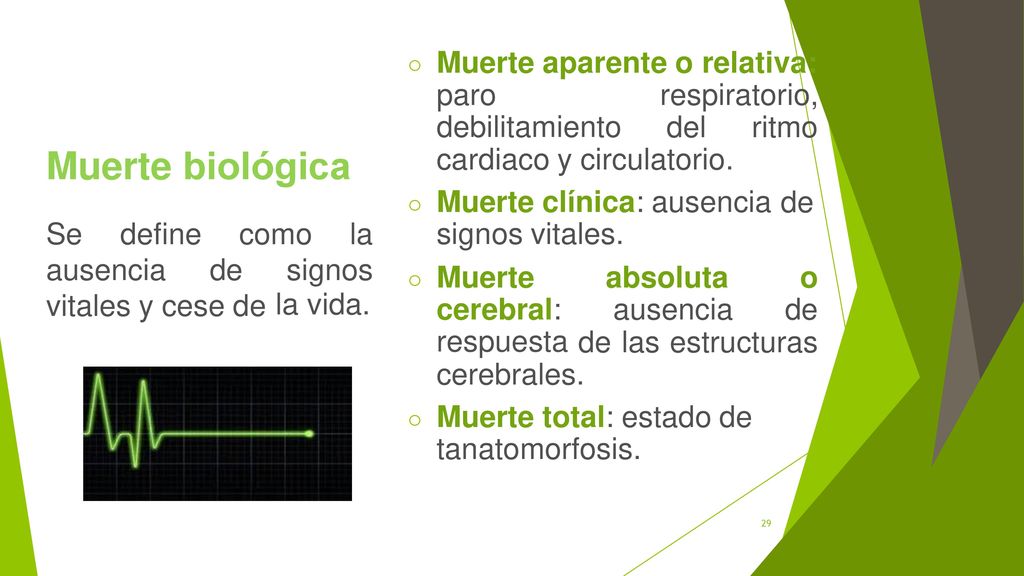 Muerte biológica o o o o Muerte aparente o relativa: paro