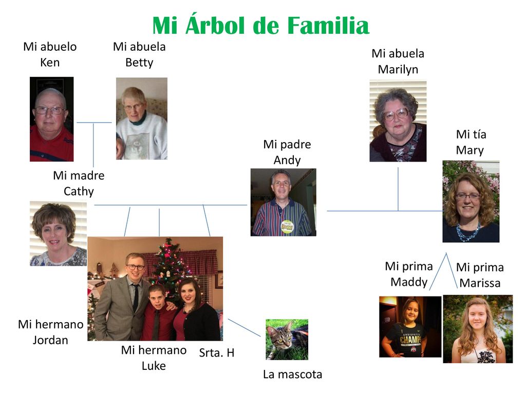Mi Árbol de Familia Mi abuelo Ken Mi abuela Betty Mi abuela Marilyn