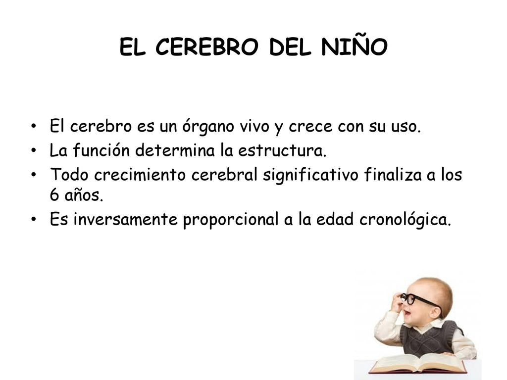 EL CEREBRO DEL NIÑO El cerebro es un órgano vivo y crece con su uso.