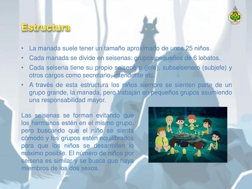 Estructura La manada suele tener un tamaño aproximado de unos 25 niños. Cada manada se divide en seisenas: grupos pequeños de 6 lobatos.