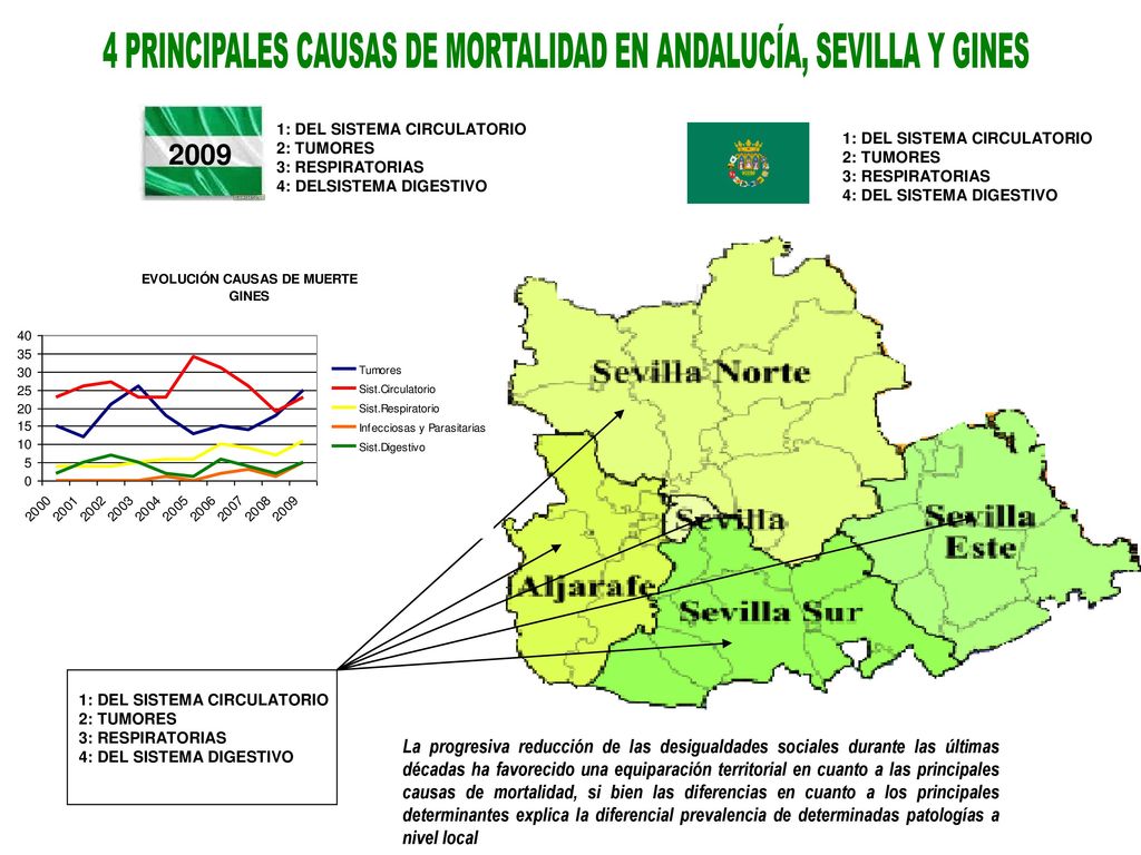 4 PRINCIPALES CAUSAS DE MORTALIDAD EN ANDALUCÍA, SEVILLA Y GINES