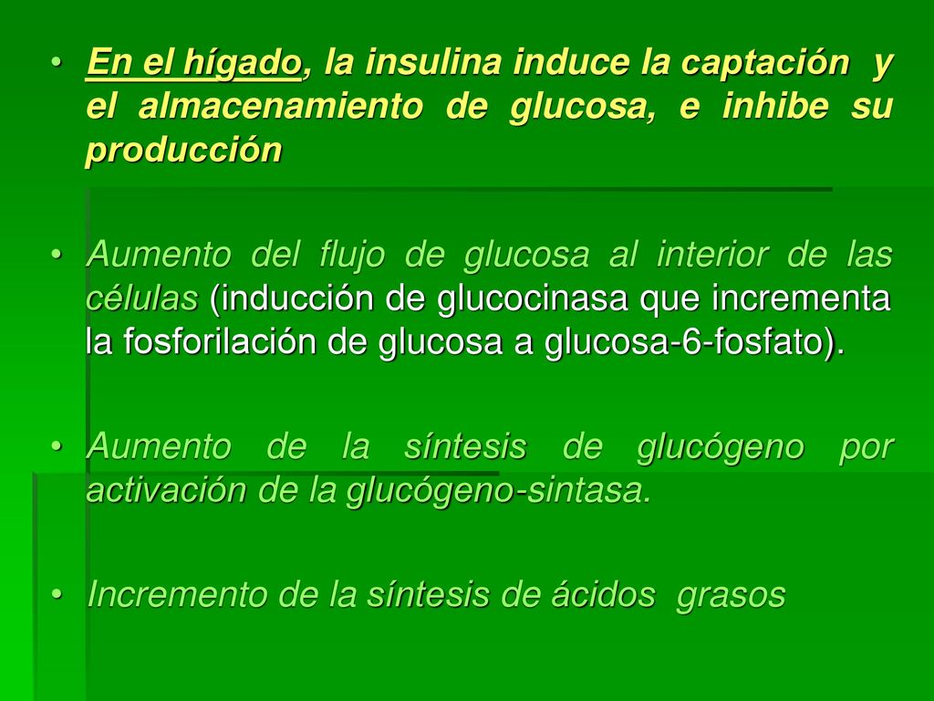 En el hígado, la insulina induce la captación y el almacenamiento de glucosa, e inhibe su producción