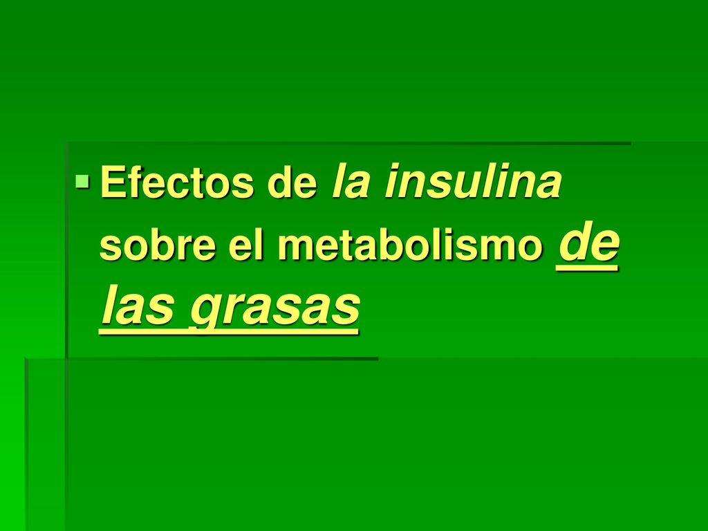 Efectos de la insulina sobre el metabolismo de las grasas