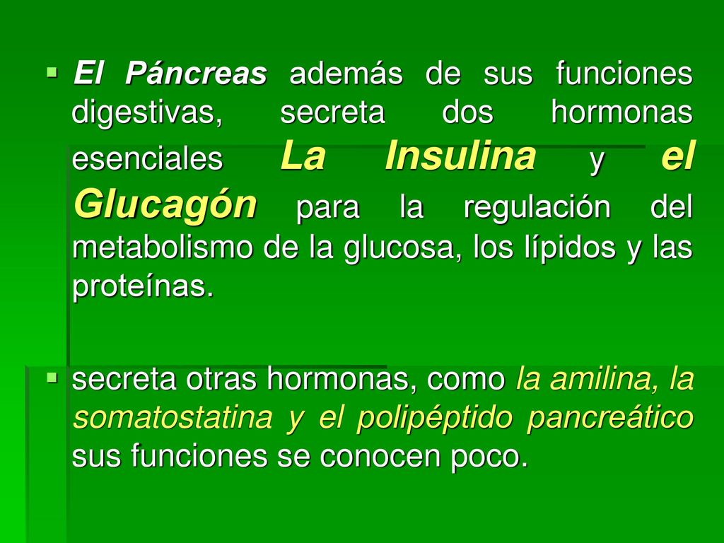 El Páncreas además de sus funciones digestivas, secreta dos hormonas esenciales La Insulina y el Glucagón para la regulación del metabolismo de la glucosa, los lípidos y las proteínas.