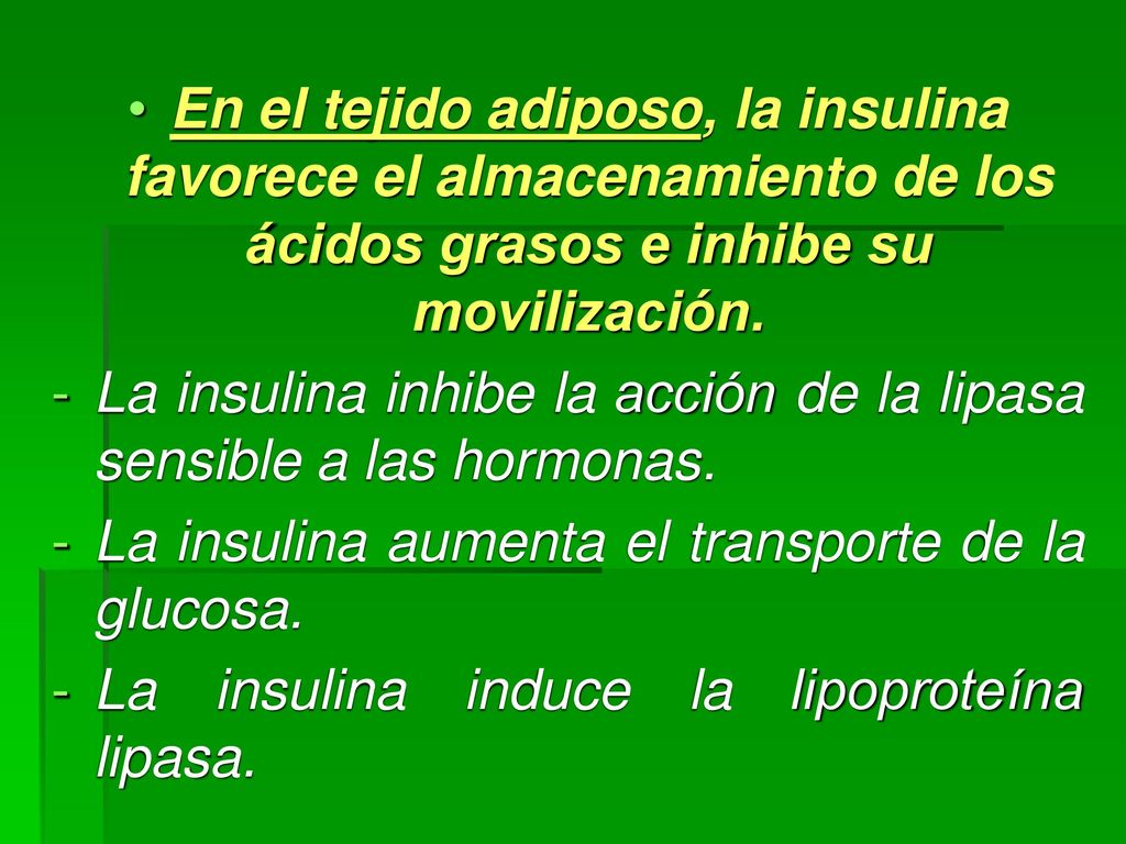En el tejido adiposo, la insulina favorece el almacenamiento de los ácidos grasos e inhibe su movilización.