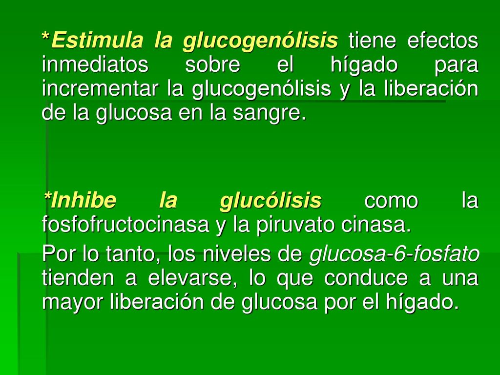 *Estimula la glucogenólisis tiene efectos inmediatos sobre el hígado para incrementar la glucogenólisis y la liberación de la glucosa en la sangre.