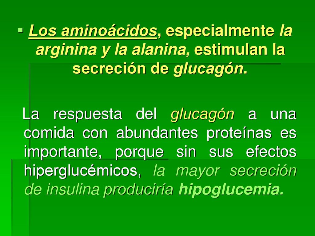 Los aminoácidos, especialmente la arginina y la alanina, estimulan la secreción de glucagón.