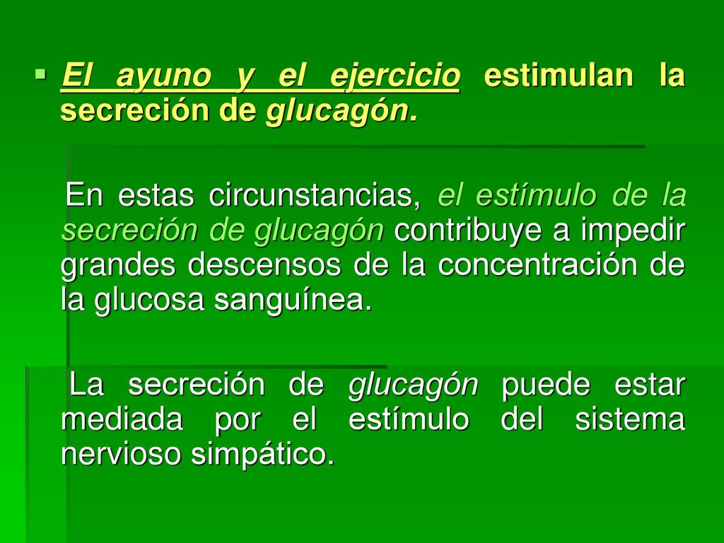 El ayuno y el ejercicio estimulan la secreción de glucagón.