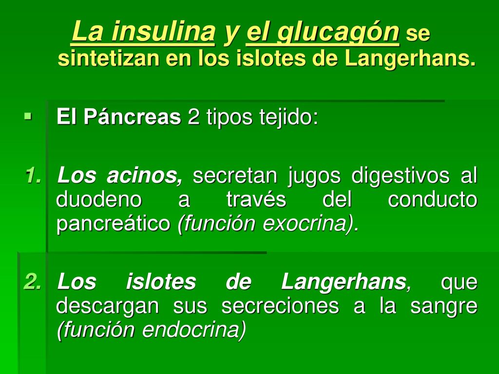 La insulina y el glucagón se sintetizan en los islotes de Langerhans.