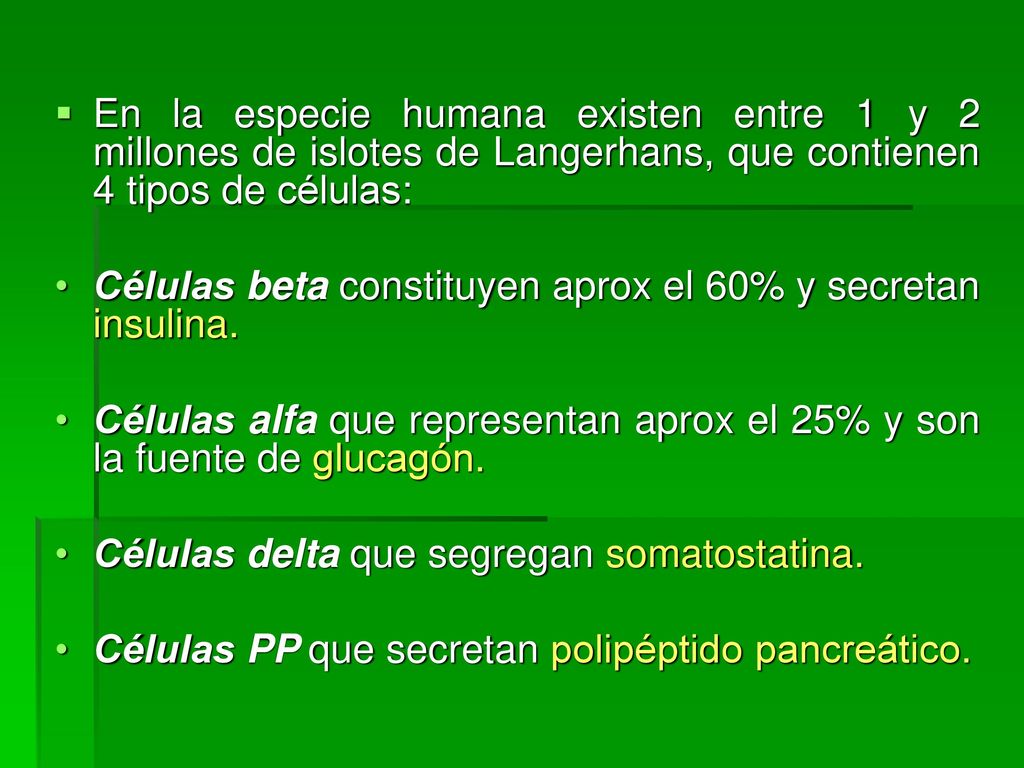 En la especie humana existen entre 1 y 2 millones de islotes de Langerhans, que contienen 4 tipos de células: