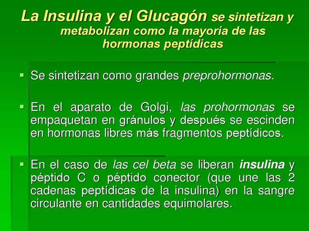 La Insulina y el Glucagón se sintetizan y metabolizan como la mayoría de las hormonas peptídicas