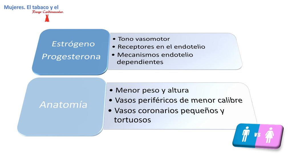 Progesterona Estrógeno. Tono vasomotor. Receptores en el endotelio. Mecanismos endotelio dependientes.