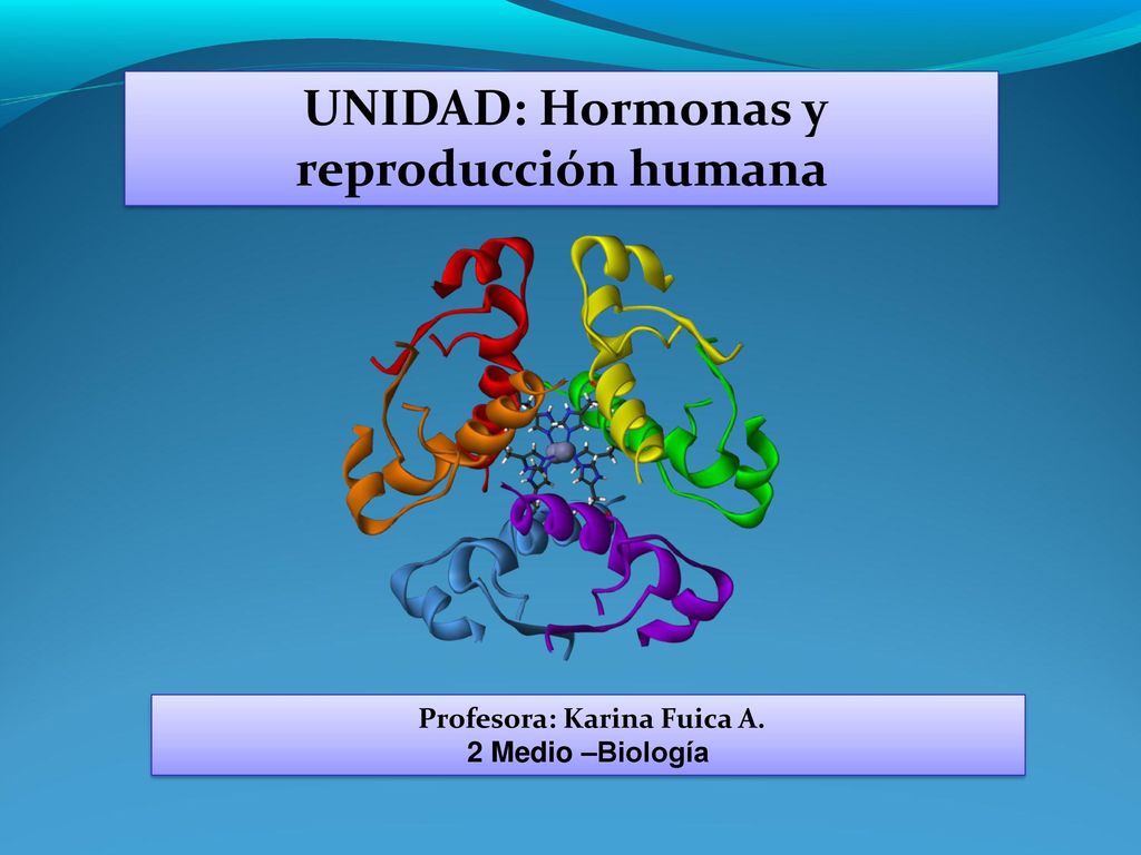 UNIDAD: Hormonas y reproducción humana Profesora: Karina Fuica A.