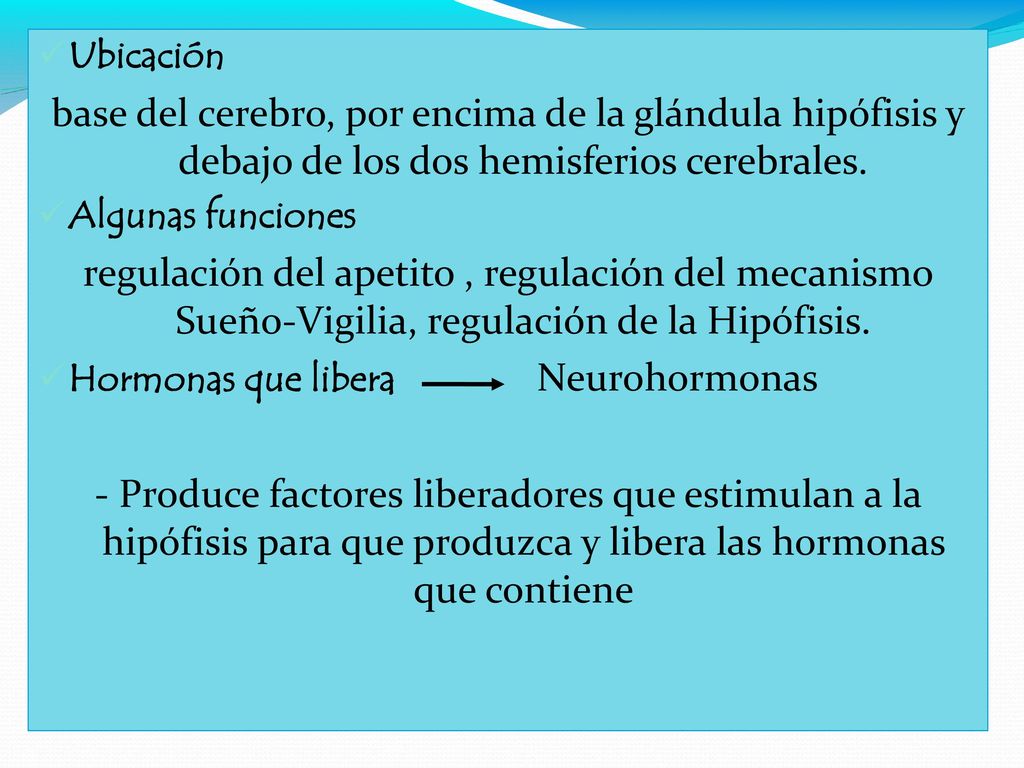 Ubicación base del cerebro, por encima de la glándula hipófisis y debajo de los dos hemisferios cerebrales.