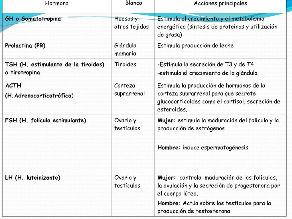 Hormona Blanco. Acciones principales. GH o Somatotropina. Huesos y otros tejidos.