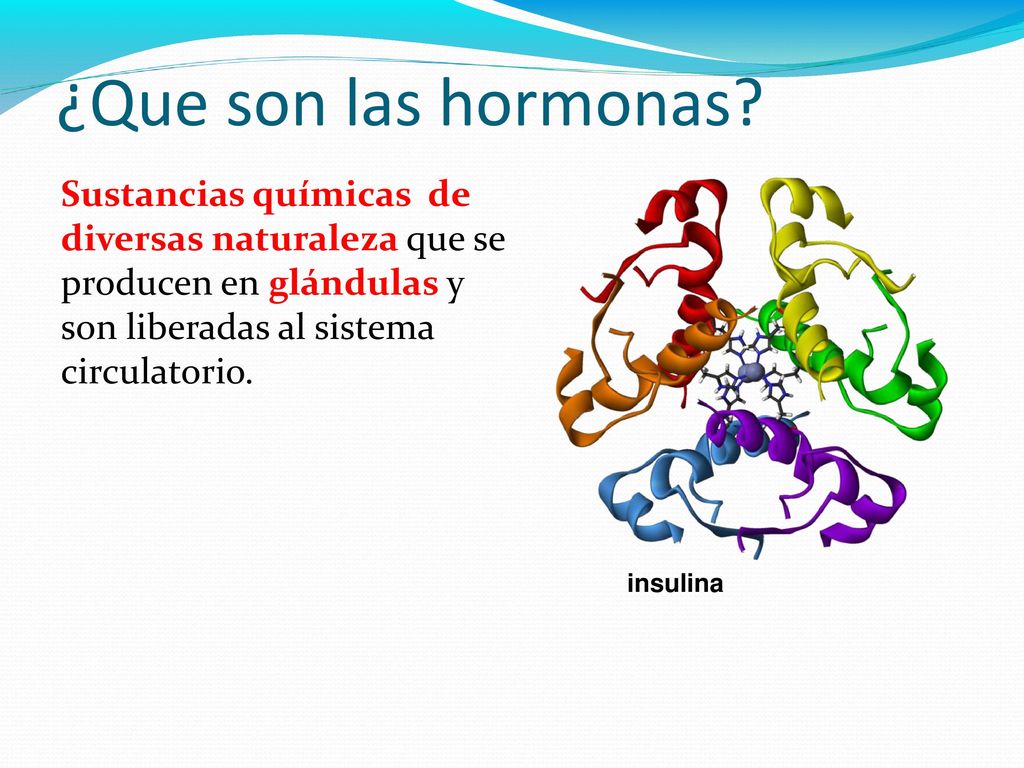 ¿Que son las hormonas Sustancias químicas de diversas naturaleza que se producen en glándulas y son liberadas al sistema circulatorio.