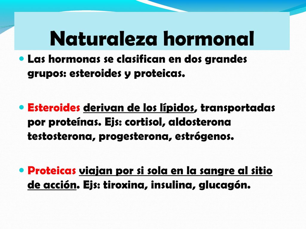 Naturaleza hormonal Las hormonas se clasifican en dos grandes grupos: esteroides y proteicas.