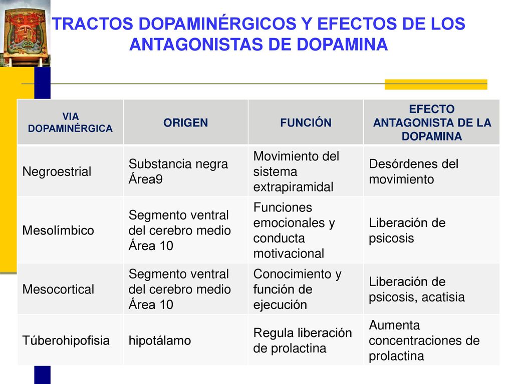 TRACTOS DOPAMINÉRGICOS Y EFECTOS DE LOS ANTAGONISTAS DE DOPAMINA