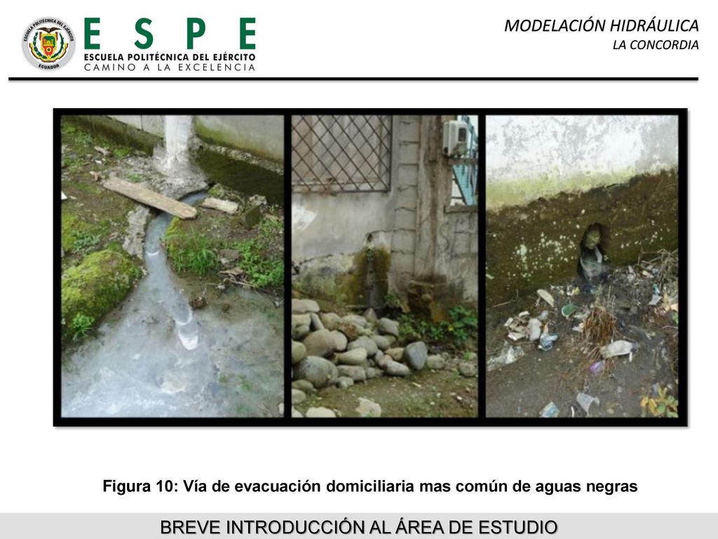 Figura 10: Vía de evacuación domiciliaria mas común de aguas negras
