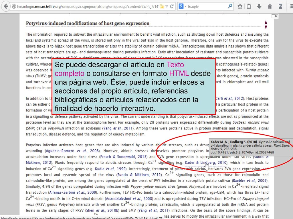 Se puede descargar el artículo en Texto completo o consultarse en formato HTML desde una página web.