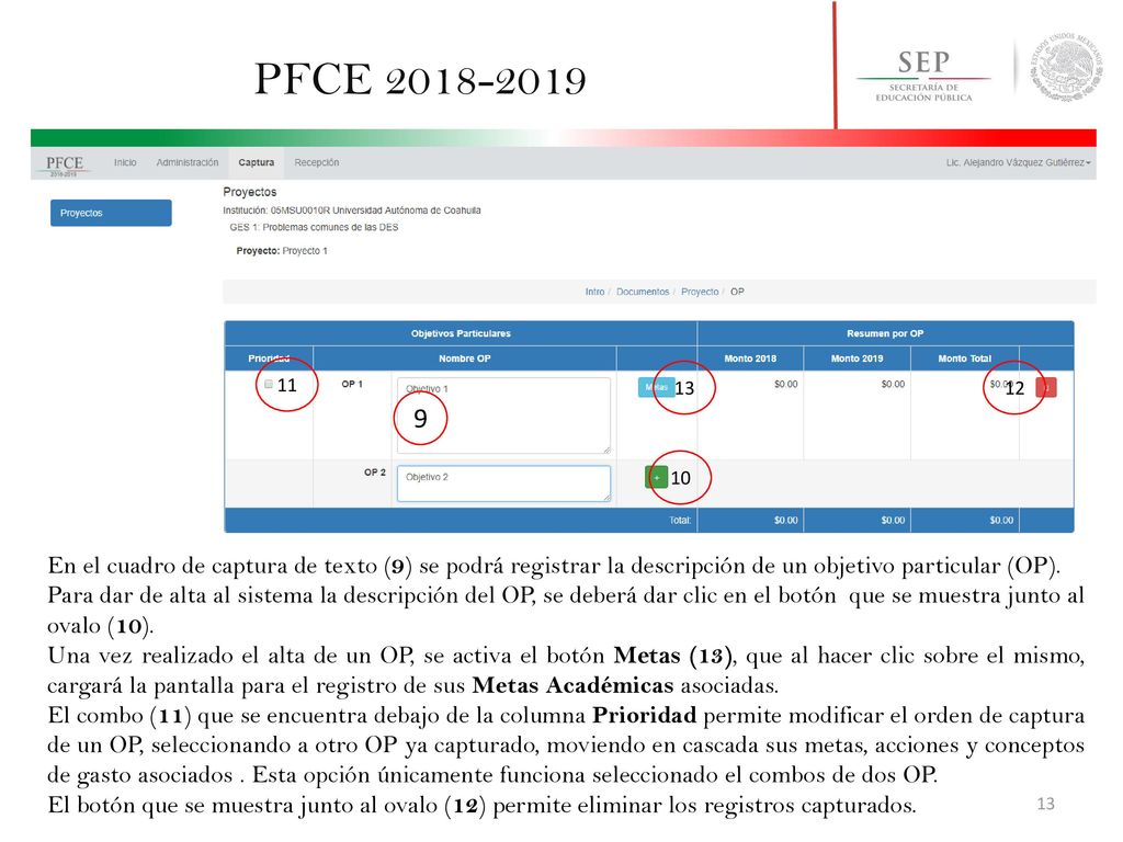 PFCE En el cuadro de captura de texto (9) se podrá registrar la descripción de un objetivo particular (OP).